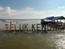 Kandung Logam Berat, BEM UHO Minta DLH Sultra Lakukan Uji Air di Teluk Kendari