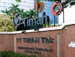 Sekretaris Jenderal Visioner Indonesia Apresiasi Capaian PT Timah Setor Rp 908 Miliar ke Negara Tahun 2024