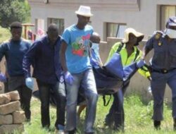 Pria Afrika Selatan Tewas Usai Coli 62 Kali Dalam Satu Malam