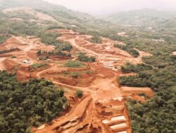 AP2 Indonesia Desak Kejagung Periksa Komisaris dan Direksi PT Amindo Terkait Dugaan Perambahan Hutan 201 Hektare di Buteng