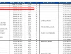 Tambang Nikel di Hutan Lindung Terancam Denda Rp6,9 Triliun, Nama Bupati Muna Barat Pernah Masuk Direksi PT AMI