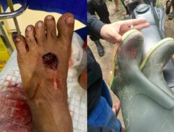 AP2 Indonesia Desak Pencopotan Dansat Brimob Polda Sultra Usai Penembakan di Tambang Ilegal Bombana