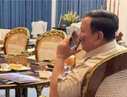 Seskab Teddy: Indonesia Ekspor Urea ke Australia, Presiden Prabowo Terima Apresiasi PM Albanese