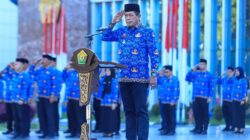 Wagub Sultra Beri Pesan Soal Tugas dan Kesadaran ASN di Upacara HKN