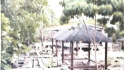 Ada Dugaan Perambahan Hutan Lindung dan Kerusakan Mangrove di Wakatobi, APH Diminta Telusuri Peran Eks Kadis Pariwisata