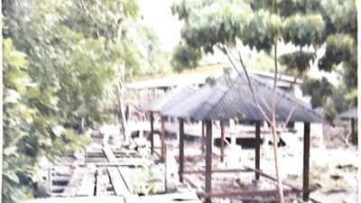 Ada Dugaan Perambahan Hutan Lindung dan Kerusakan Mangrove di Wakatobi, APH Diminta Telusuri Peran Eks Kadis Pariwisata